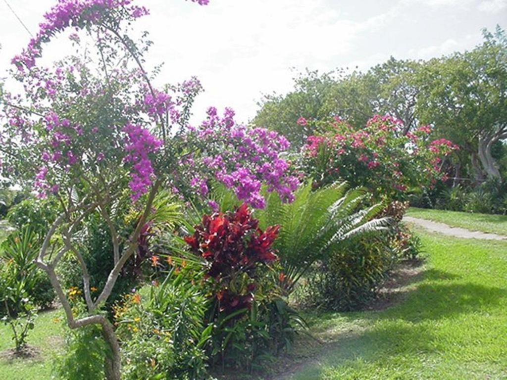 Great Escape And Breakfast Inn Vieques Bagian luar foto